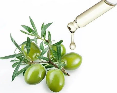 Natural Olive Squalane Oil Face Moisturizing Essence Oil Refreshing Body Massage Oil Pure Plant Beauty Oil
