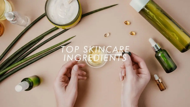 Natural Olive Squalane Oil Face Moisturizing Essence Oil Refreshing Body Massage Oil Pure Plant Beauty Oil